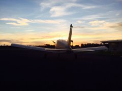 50711981113_o.jpg